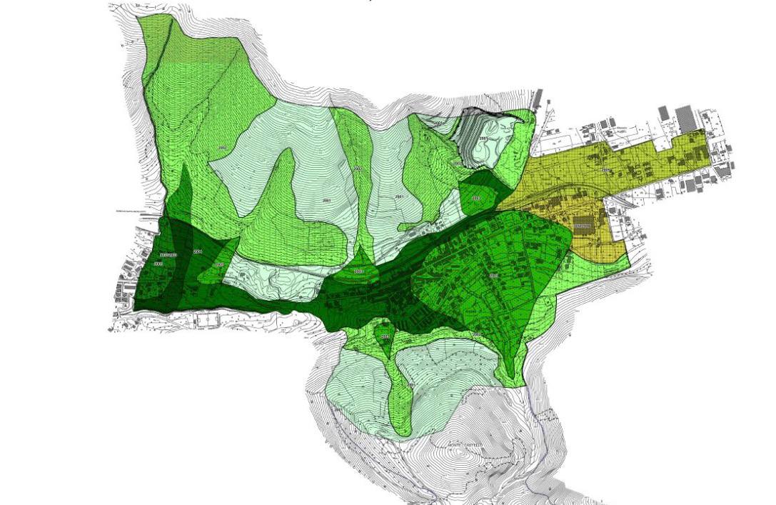 Carta delle Microzone Omogenee in Prospettiva Sismica con aree colorate in verde